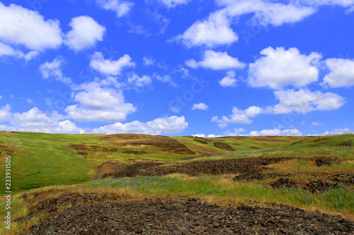 basalt mesa in spring with wild flowers