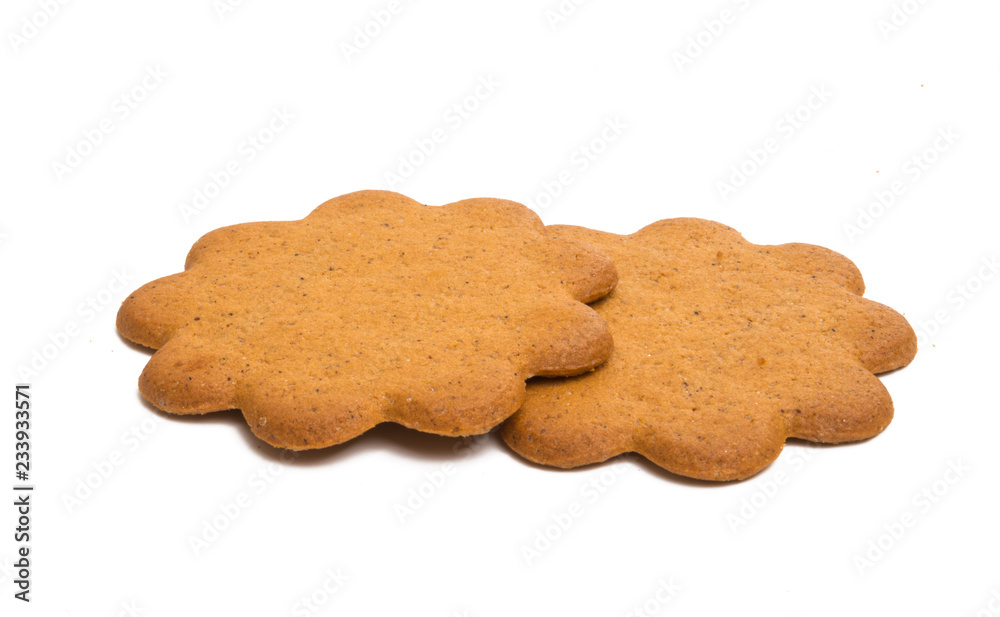 gingerbread cookie isolated gingerbread cookie isolated