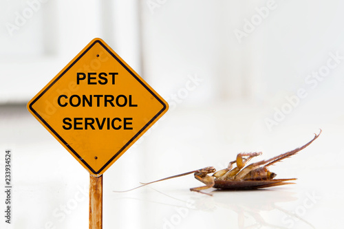Dead cockroach on floor with caution sign pest control service