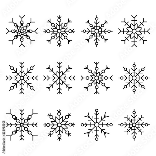 Set of twelve snowflakes. Vector illustration on white background