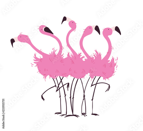 Flock of flamingos vector illustration