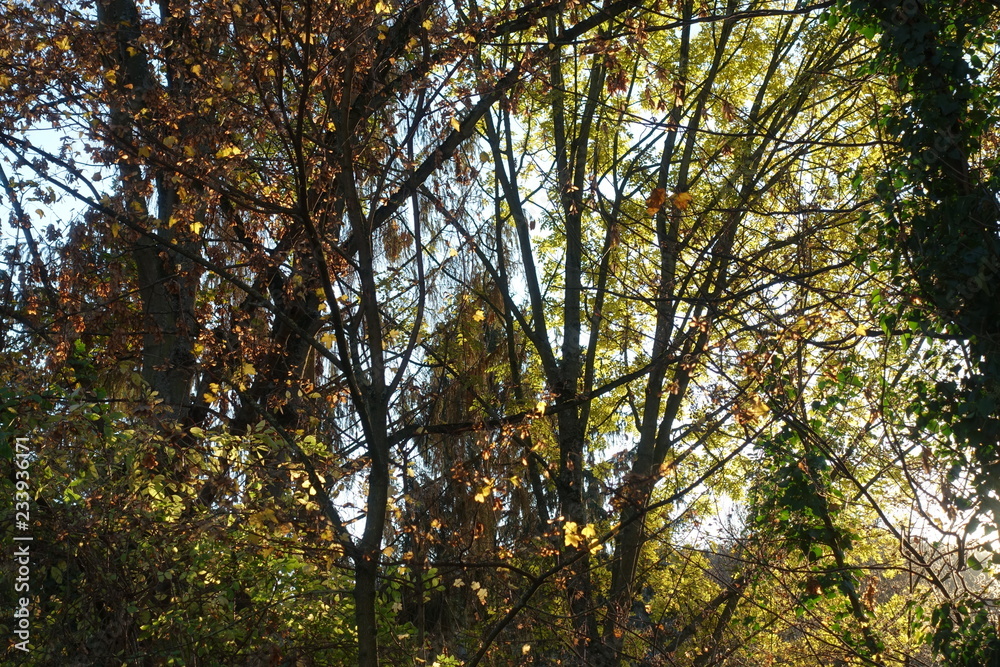 Herbst Herbst