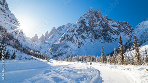 Sunny morning in Val Fiscalina photo