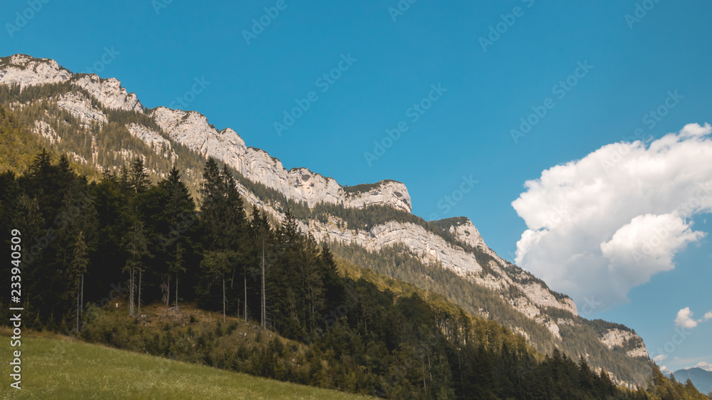 Beautiful alpine view near Waidring - Tyrol - Austria