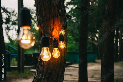 Wallpaper Mural Light bulb decor in outdoor party Torontodigital.ca