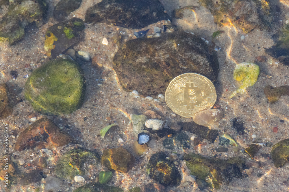 Bitcoin Münze Unter Wasser Am Meer Mit Steinen Bitcoin Münze Unter Wasser Am Meer Mit Steinen