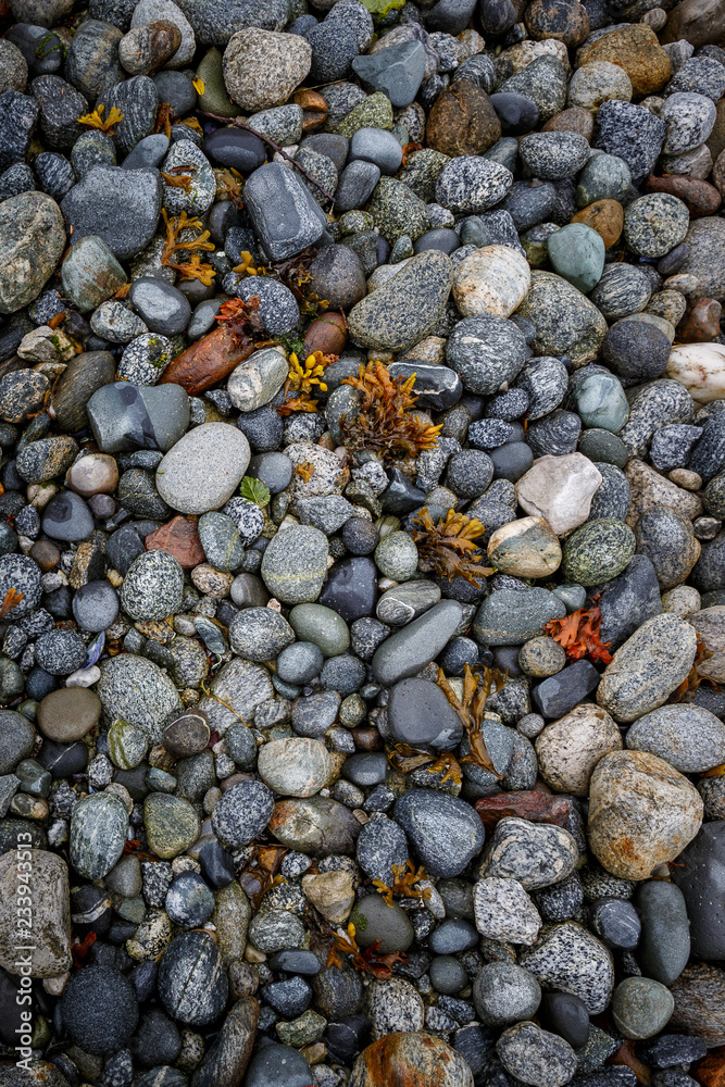 Alaska seashore with granite stones, pebbles and seaweed Alaska seashore with granite stones, pebbles and seaweed