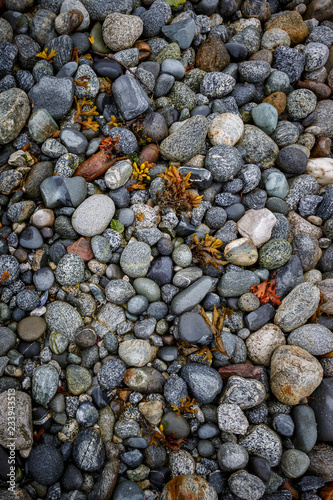 Alaska seashore with granite  stones, pebbles and seaweed