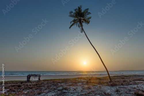 Coconut palm on tropical beach on paradise island at sunset