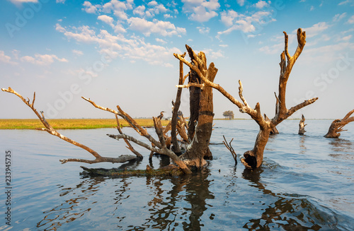 Chobe River  malerische Landschaft am fr  hen Morgen  Botswana
