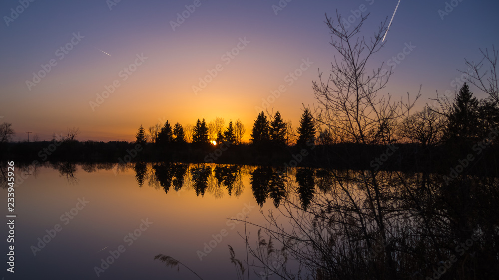 Beautiful reflections at a pond near Aholming - Bavaria - Germany