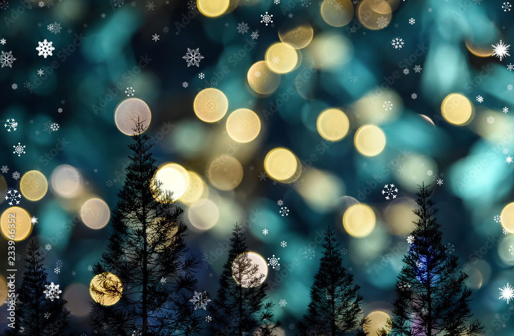Pine tree with bokeh light background, Christmas tree theme Pine tree with bokeh light background, Christmas tree theme