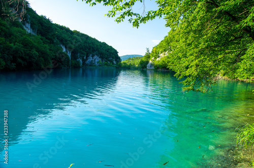 Lake with clear turquoise water  National park Plitvice Lakes  Croatia
