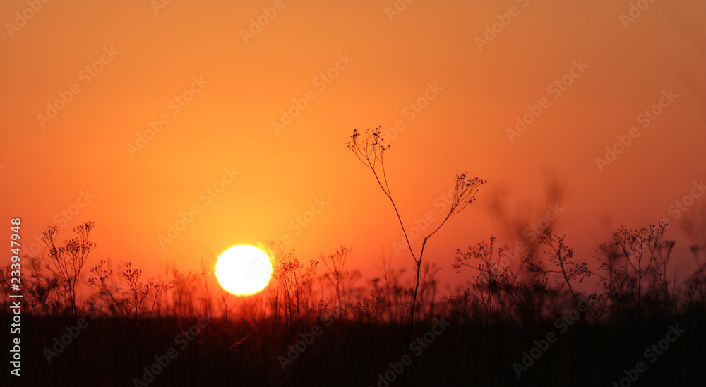 Sunset in grassland Sunset in grassland