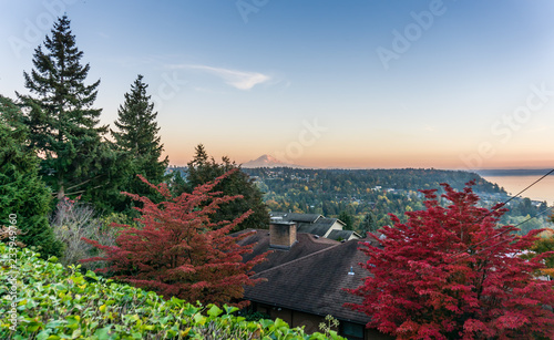 Red Leaves Landscape photo