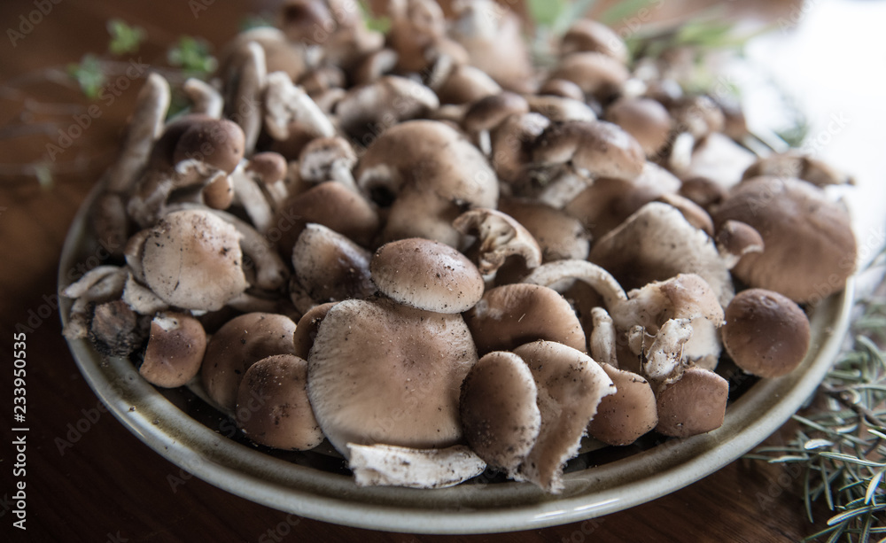 Mushroom Fungo Pioppino  VEGAN FOOD
