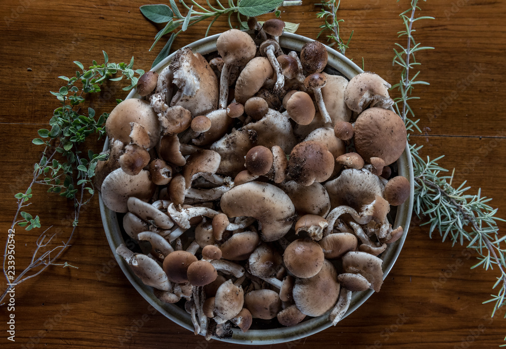 Mushroom Fungo Pioppino kaki Autumm VEGAN FOOD Mushroom Fungo Pioppino kaki Autumm VEGAN FOOD