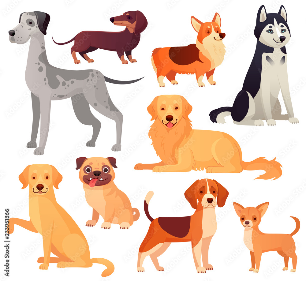 Dogs pets character. Labrador dog, golden retriever and husky. Cartoon vector isolated illustration set