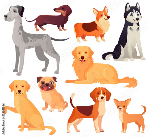 Dogs pets character. Labrador dog  golden retriever and husky. Cartoon vector isolated illustration set