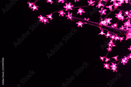 Light flowers on the black background with space for your text