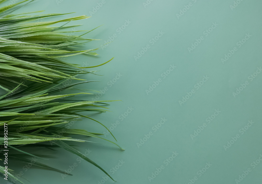 Green grass on green background Green grass on green background