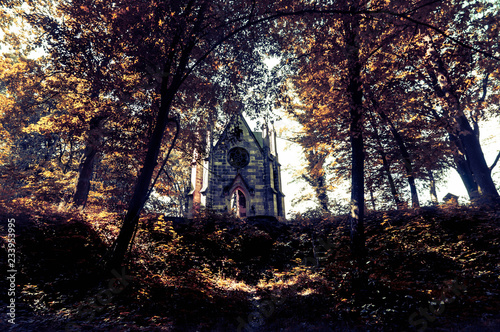 Chapel ruins at an abandoned cemetery © malgorzata_wieczorek