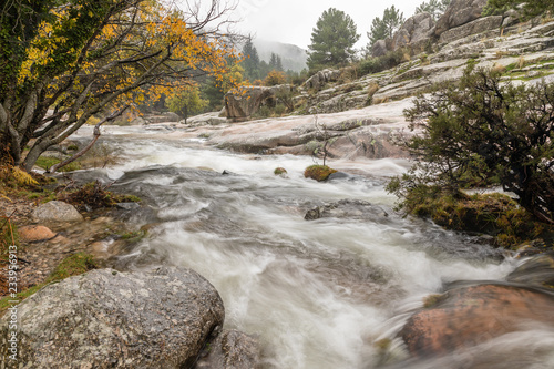 Water torrent of the Manzanares river in the Pedriza area of Madrid