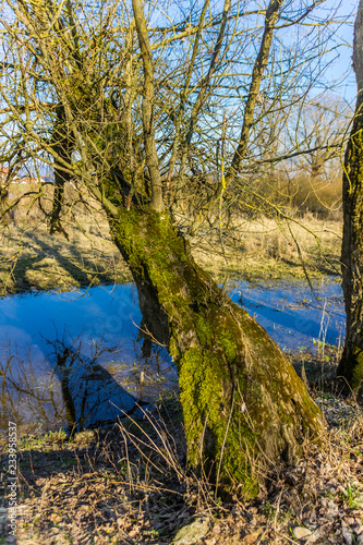 Beautiful view at the danube near Thundorf - Bavaria - Germany