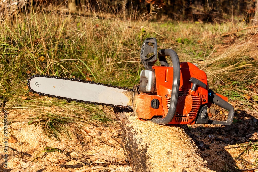 The chain saw lies on wood. Wood preparation for heating. Ecological heating. Working with the saw. Gasoline Saw.