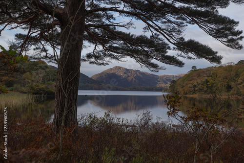Lake in Killarney