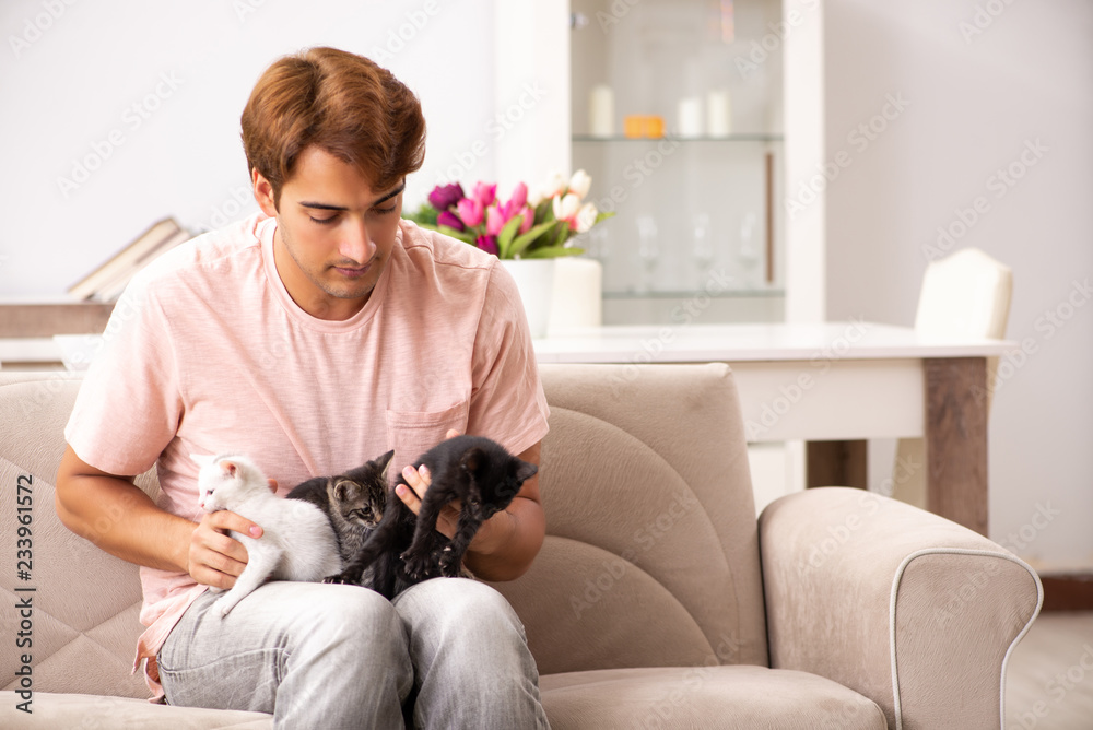 Young man playing with kitten at home Young man playing with kitten at home