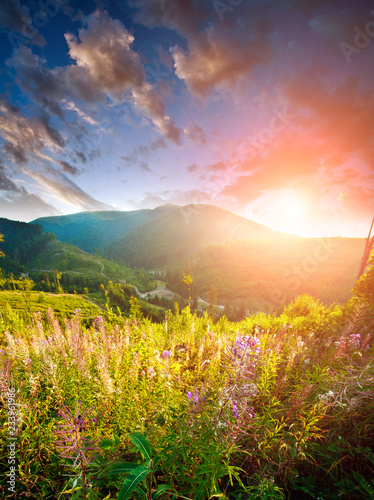 Bright colorful sunrise over mountains and flowering field