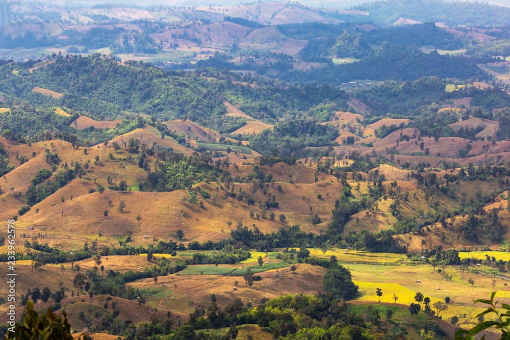 Obraz premium When mountains become cornfields. It's sad to see