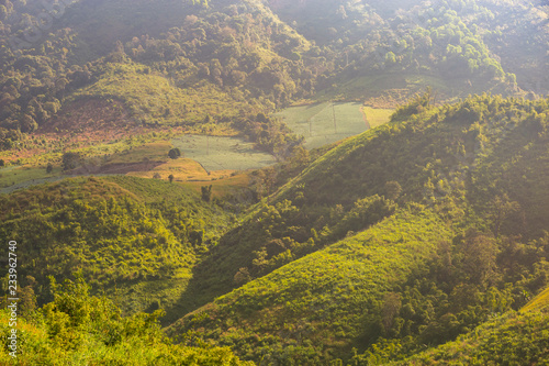 Rice fields on the mountain and the sunlight in the morning