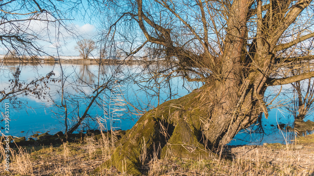 Beautiful view near Steinkirchen-Danube-Bavaria-Germany Beautiful view near Steinkirchen-Danube-Bavaria-Germany