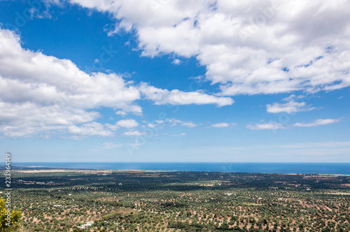 Panoramic view of olive trees plain in front of Ostuni