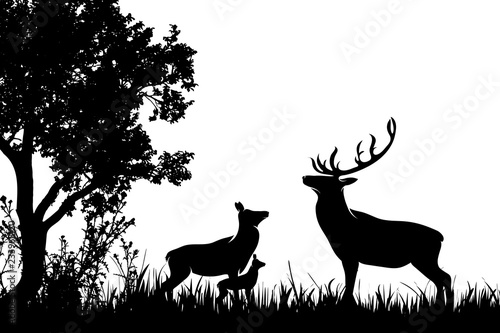Vector silhouette of forest with deer,hind and baby hind.