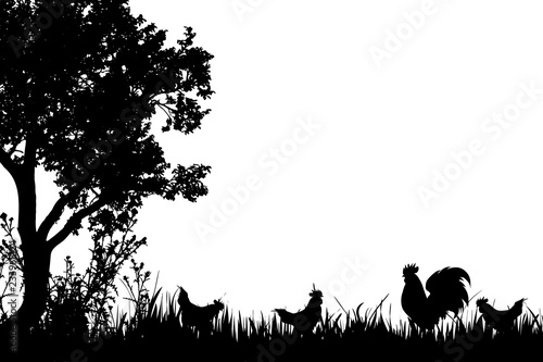 Vector silhouette of rooster and hen on the farm.