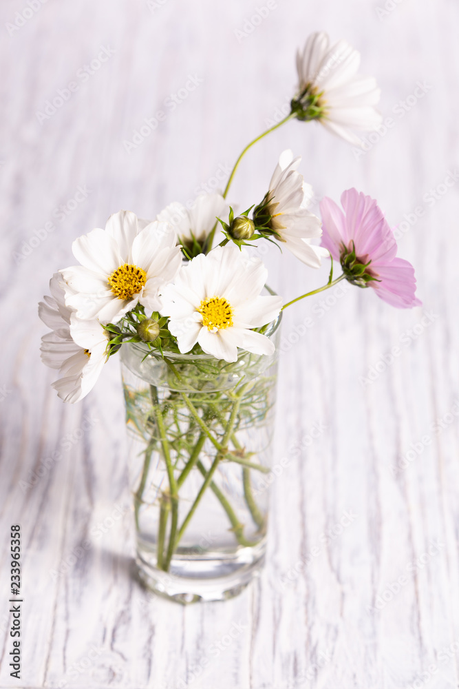Beautiful flowers on a white wooden background Beautiful flowers on a white wooden background