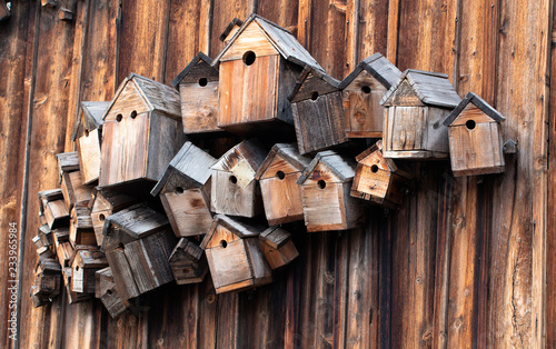 Several wooden bird boxes on a wooden wall © Amineah