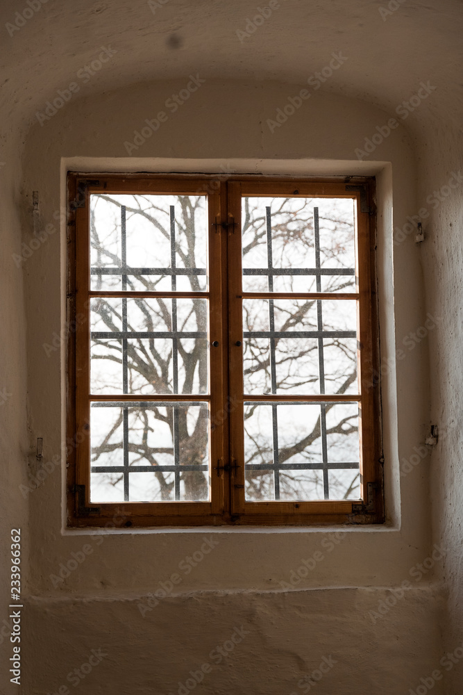 Looking out through a wooden frame window on a leafless tree