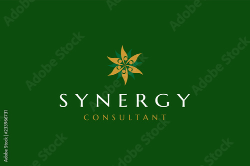 Luxury minimalist elegant synergy consultant abstract logo template design inspirations