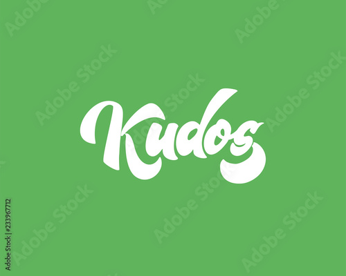 Bravo Kudos. Beautiful greeting card scratched calligraphy text word Kudos Bravo. Hand drawn invitation T-shirt print design. Handwritten modern brush lettering vector