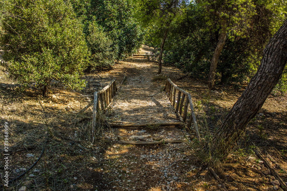 park outdoor natural landscape with empty trail between trees through wooden bridge on ground in early autumn season time park outdoor natural landscape with empty trail between trees through wooden bridge on ground in early autumn season time