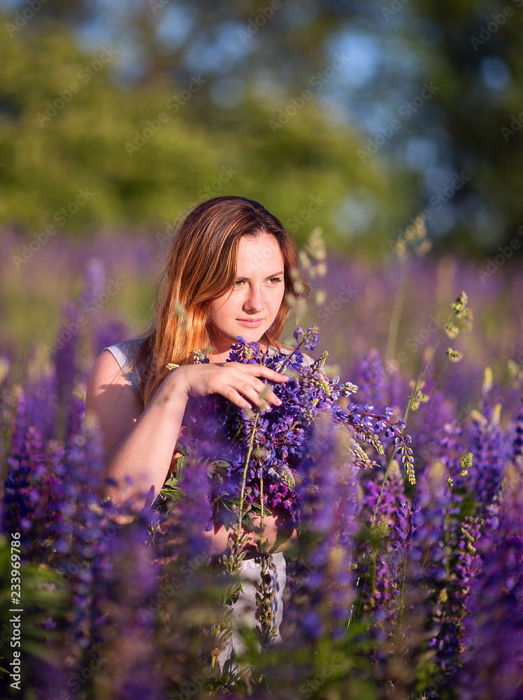 A beautiful girl is standing in a lupine field. A beautiful girl is standing in a lupine field.