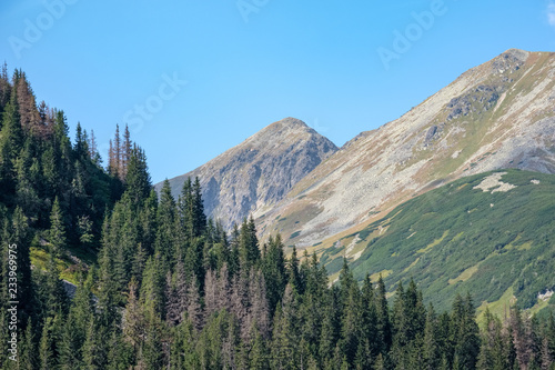 western carpathian mountain panorama in clear day