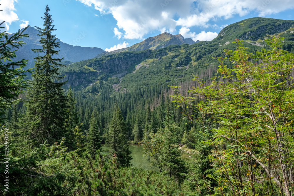 Fototapeta premium western carpathian mountain panorama in clear day
