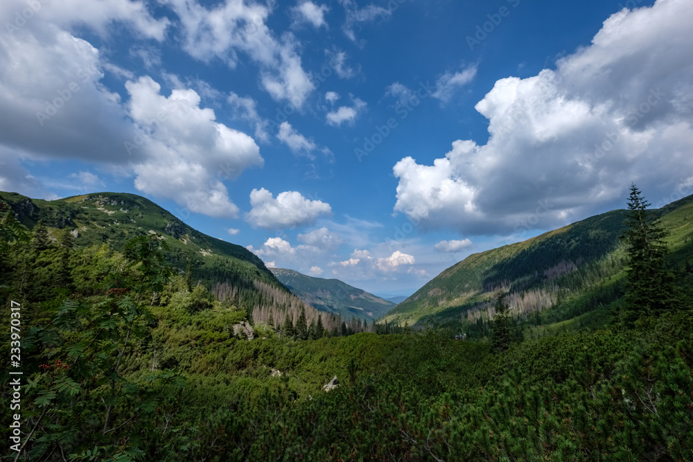 Fototapeta premium western carpathian mountain panorama in clear day
