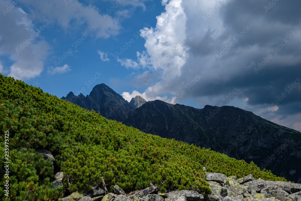 western carpathian mountain panorama in clear day western carpathian mountain panorama in clear day