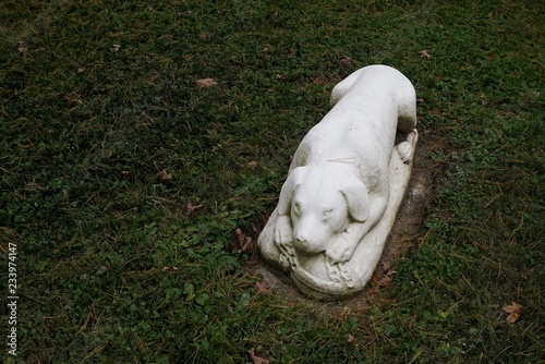 tombstones withdog or hound  in victorian graveyard